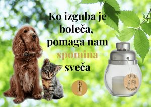 Spominčica - PAX novice 2023 okt