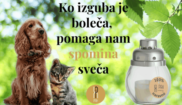 Spominčica - PAX novice 2023 okt